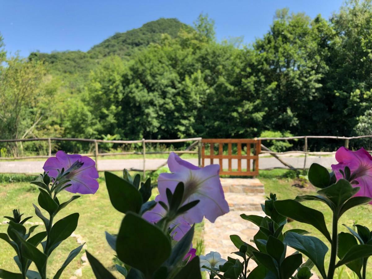 Orahovo Cottages Virpazar Exterior foto